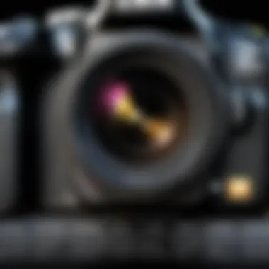 Magnificent Exploring the Key Differences Between Canon T7 and T7i Magnificent Exploring the Key Differences Between Canon T7 and T7i