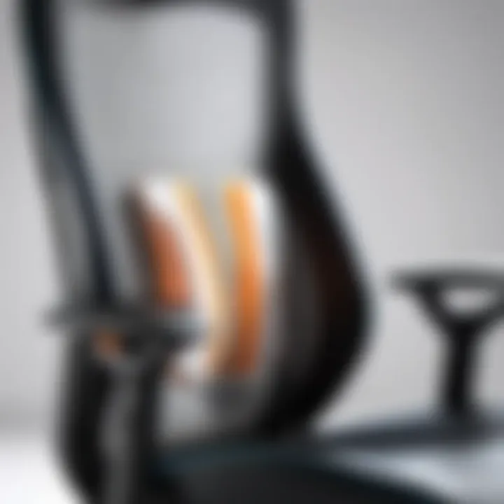 Close-up of chair lumbar support