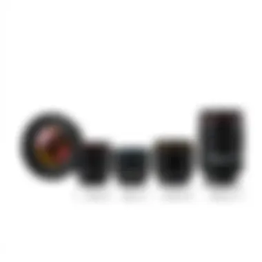 Display of Canon EF 50mm f/1.8 lens alongside other prime lenses for comparison