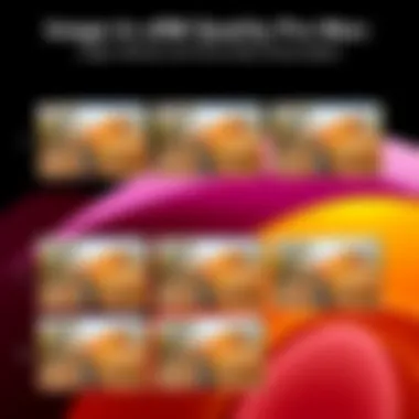 Sample images captured with iPhone 13 Pro Max demonstrating image quality