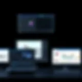 Comprehensive Analysis of Photo Editing Software Ratings Introduction