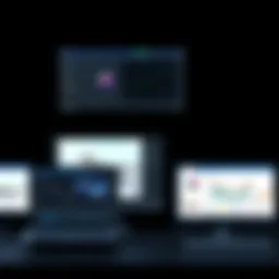 Comprehensive Analysis of Photo Editing Software Ratings Introduction