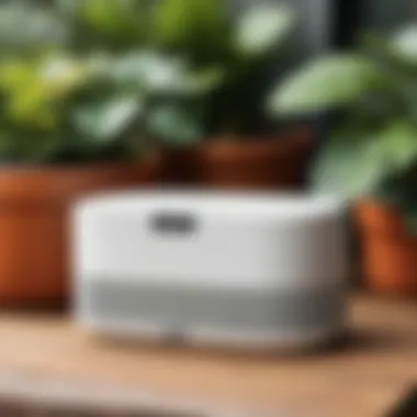 Sonos Roam in an outdoor setting emphasizing portability