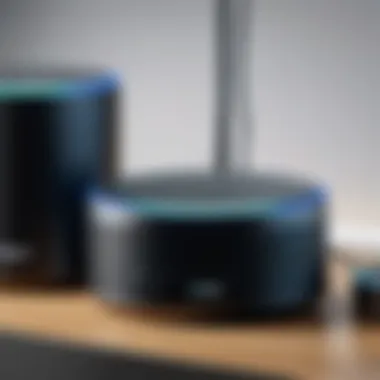 Advanced Settings Exploration Exploring the advanced settings of Alexa Echo