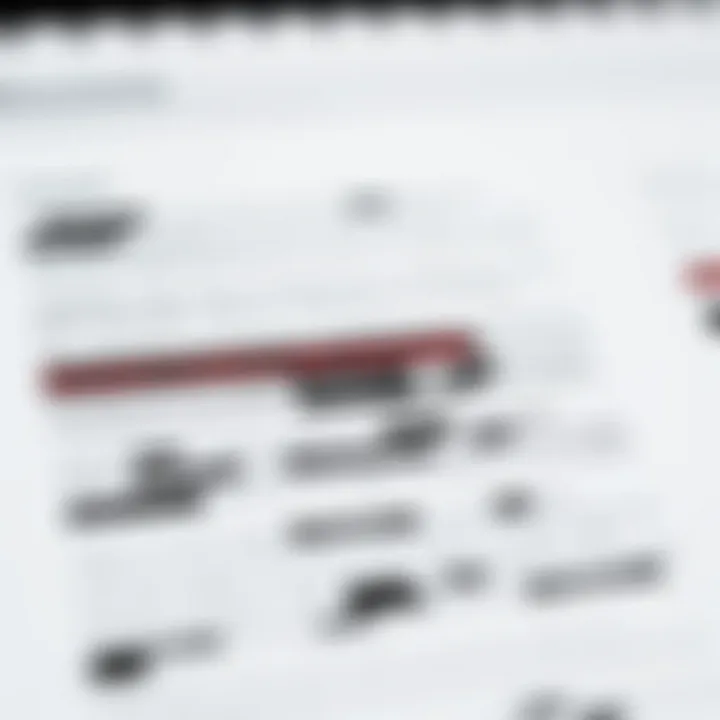 Document Confidentiality and Redaction Examples Visual representation of document confidentiality with redacted text examples