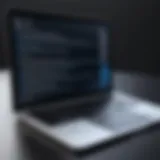 Virtualization software interface on MacBook