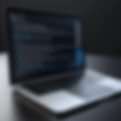 Virtualization software interface on MacBook
