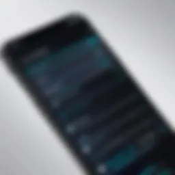iPhone displaying encryption settings