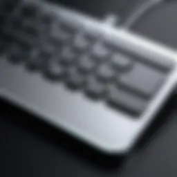 Elegant design of Apple keyboard showcasing sleek aesthetics.