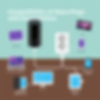 Visual representation of compatibility between Alexa plugs and various smart devices