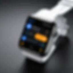 Overview of cryptocurrency management on wearable devices