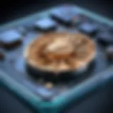 Exploring Fossil Series 6: An In-Depth Analysis Introduction