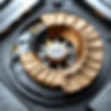 Notable Exploring Fossil Series 6: An In-Depth Analysis Notable Exploring Fossil Series 6: An In-Depth Analysis