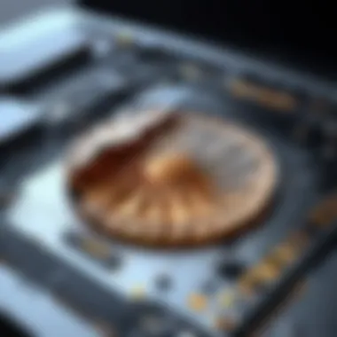 Exploring Fossil Series 6: An In-Depth Analysis Summary Exploring Fossil Series 6: An In-Depth Analysis Summary