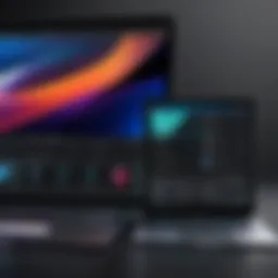 User interface of PS Express showcasing editing tools