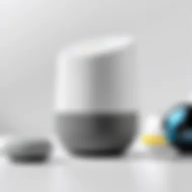 Technical Specifications of Google Home Surveillance Technical architecture of Google Home surveillance