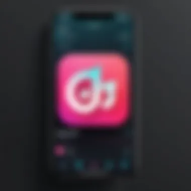 User interface of the TikTok Photoshop App