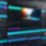 User interface of a premium video editor