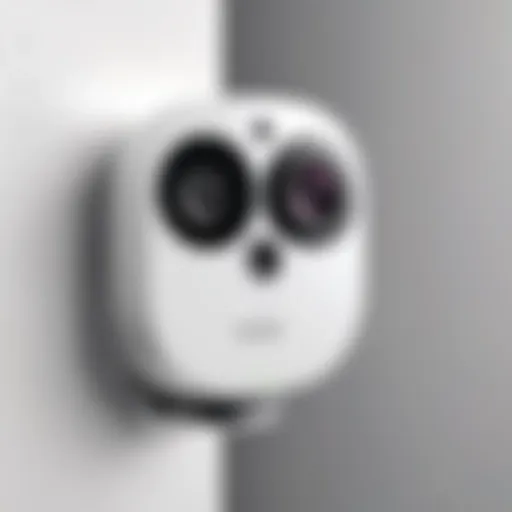 A sleek wireless security camera mounted on a wall.