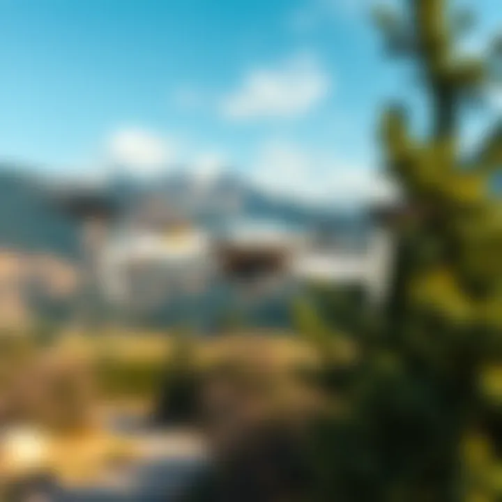 Beginner-friendly drone in a scenic outdoor setting