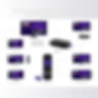 Comprehensive Overview of Roku Streaming Devices Overview of Roku Streaming Devices