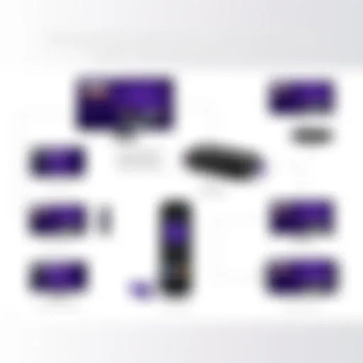 Comprehensive Overview of Roku Streaming Devices Overview of Roku Streaming Devices