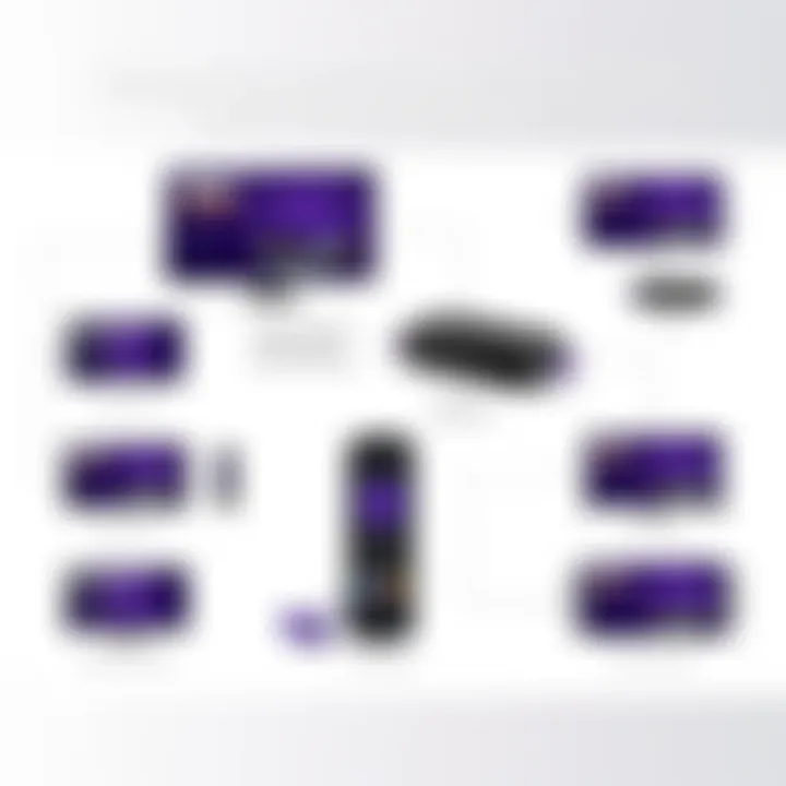 Comprehensive Overview of Roku Streaming Devices Overview of Roku Streaming Devices