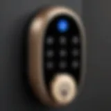 Close-up view of a keyless entry smart lock showcasing its sleek design and interface