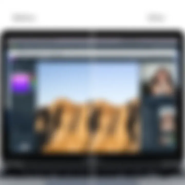 Before and after comparison of photo editing results