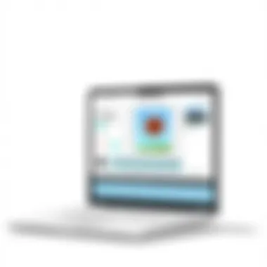 User interface of popular photo editing software on MacBook