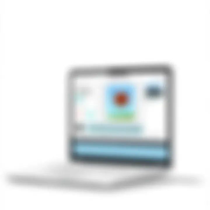 User interface of popular photo editing software on MacBook