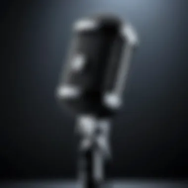 Dynamic Microphone for Voice Over Dynamic microphone ideal for vocal recordings