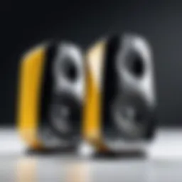 Ultimate Ears speaker showcasing design and aesthetics
