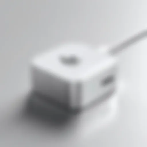 Official Apple charger design and features