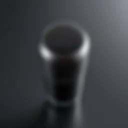 Compact mini microphone designed for mobile use