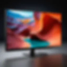 Vizio D Series 24 Inch TV showcasing display quality
